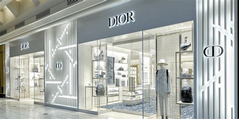 dior somerset|Dior somerset collection.